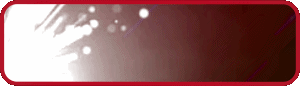 WINSLOTS8